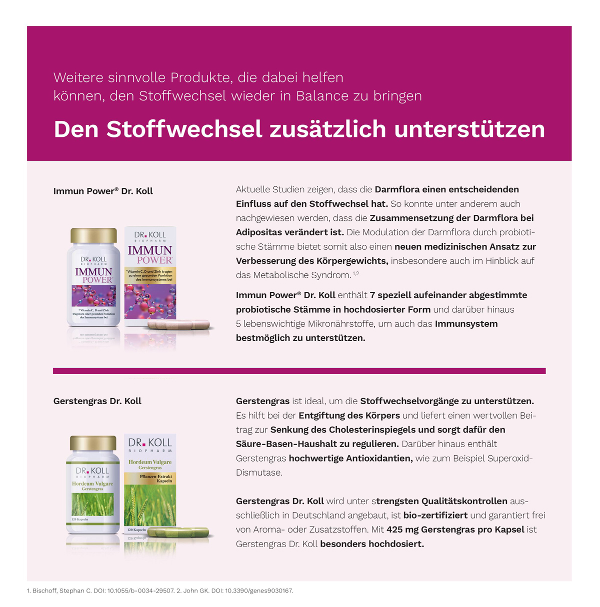 Stoffwechsel Konzept 1