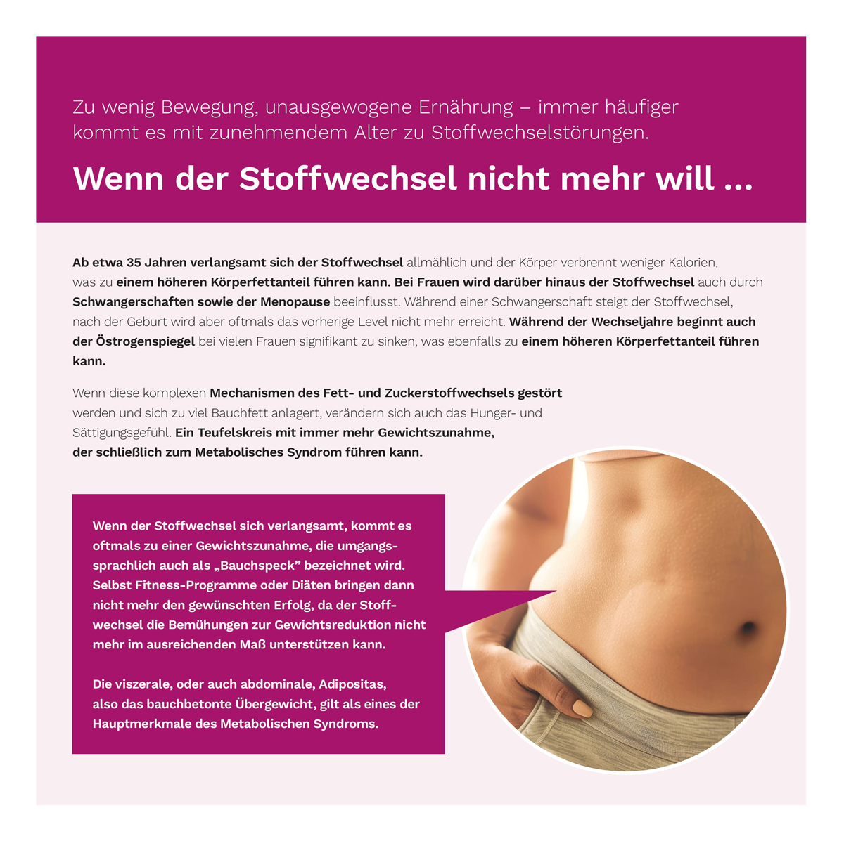Stoffwechsel Konzept 4