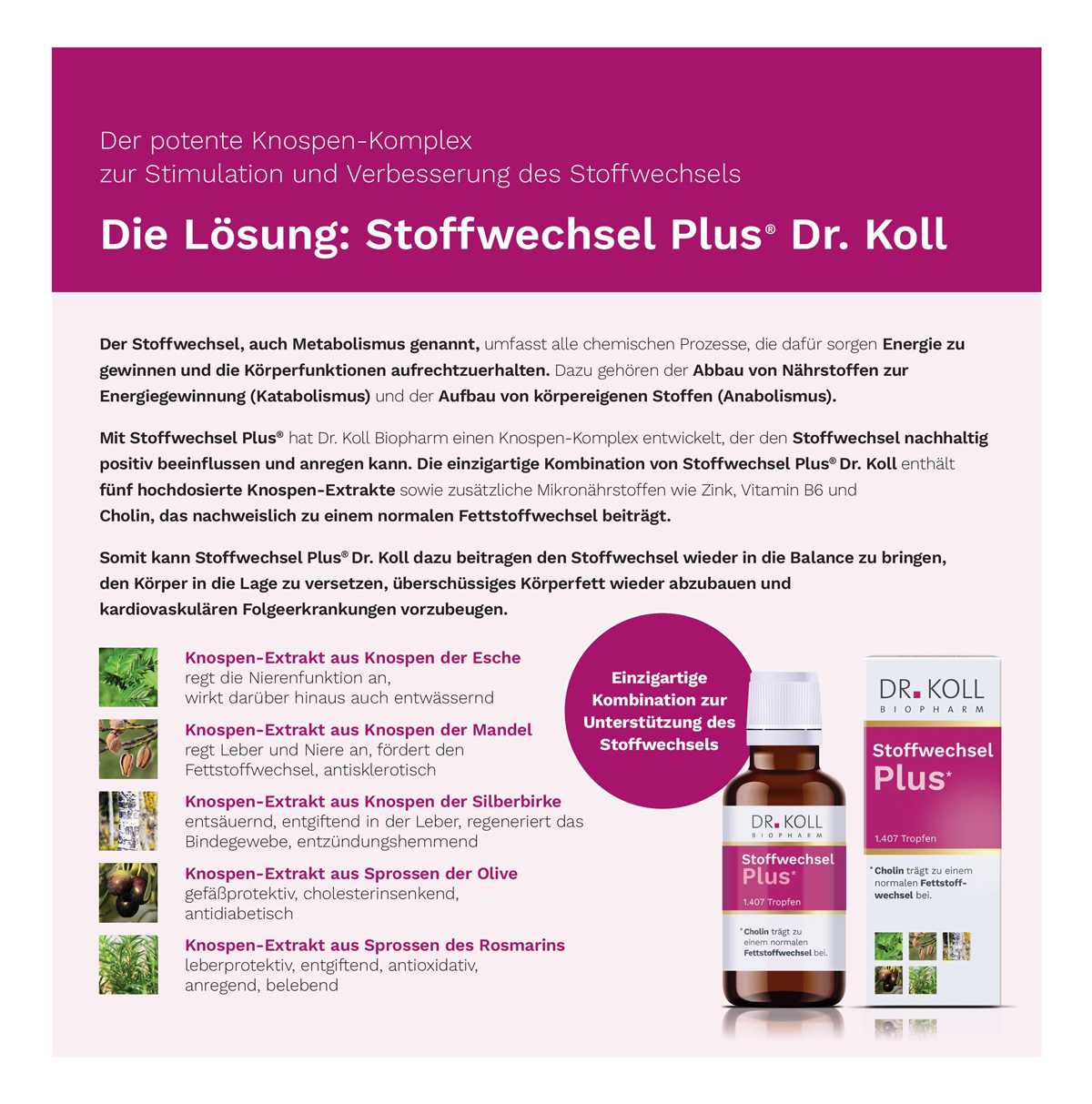 Stoffwechsel Konzept 6